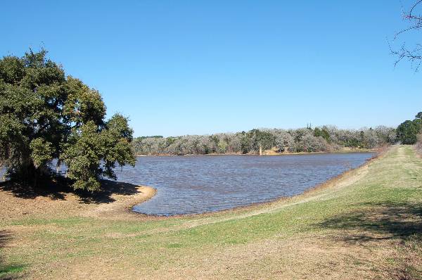 Buescher State Park (2/26/2008)