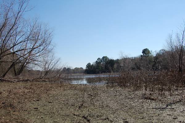 Buescher State Park (2/26/2008)