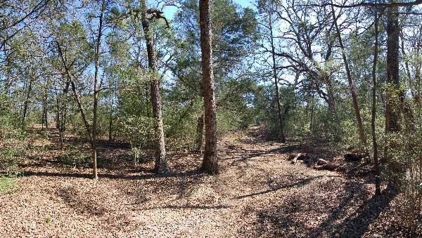Buescher State Park (2/26/2008)
