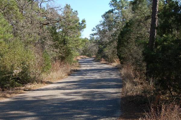 Buescher State Park (2/26/2008)