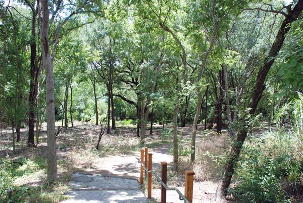 Judson Nature Trails (7/5/2018)