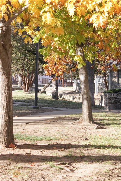Mineral Wells Churches (3/12/2019 - Credits: Rose Jordan)