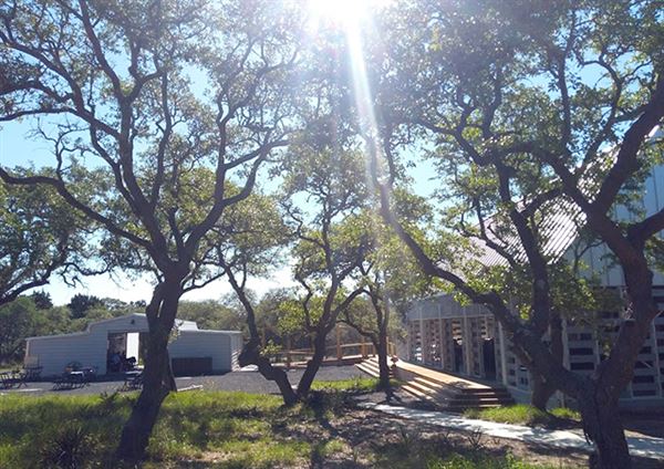 The Cedars Ranch (3/20/2019 - Credits: Mark Hemmings)