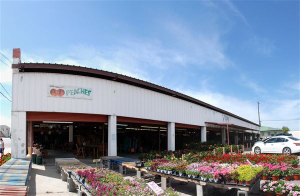 Weatherford Farmers Market (4/10/2019)