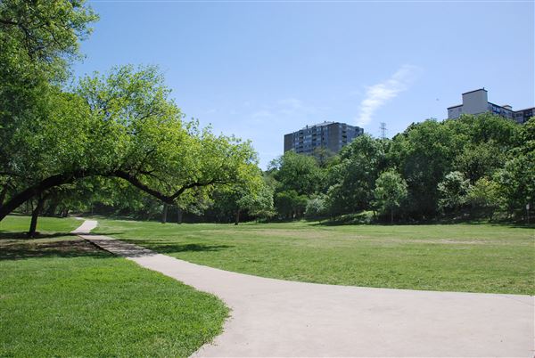 Reverchon Park (4/12/2019)