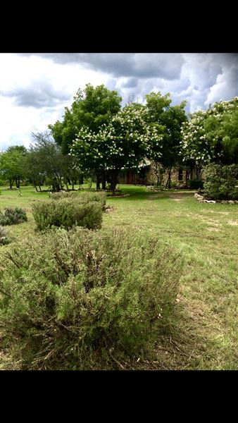 Obregon Ranch (5/14/2019 - Credits: Jariah Obregon)