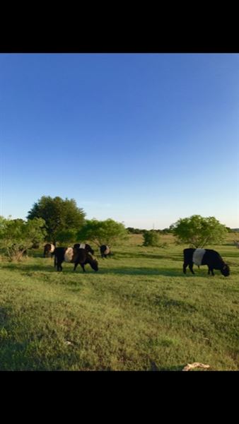 Obregon Ranch (5/14/2019 - Credits: Jariah Obregon)
