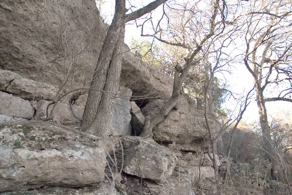 Milton Reimers Ranch County Park (3/7/2008)