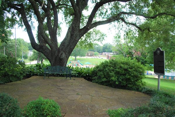 Reagan Park (7/6/2019)