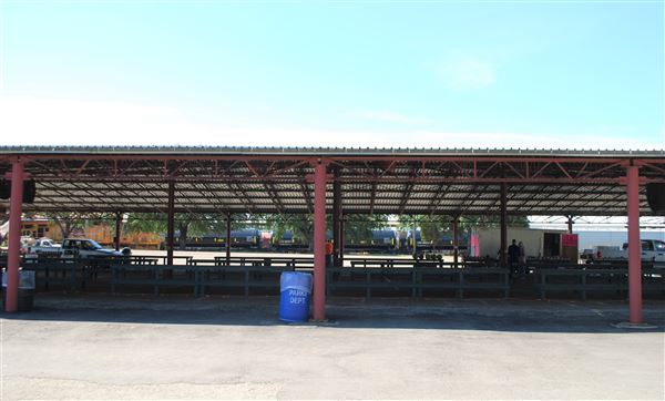 Palestine Farmers Market (7/23/2019)