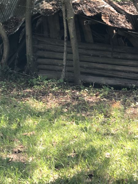 Historic Grove House (11/9/2019 - Credits: Lisa Jackson)