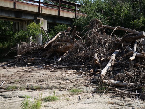 Brazos River at FM 4 Bridge (7/16/2019)