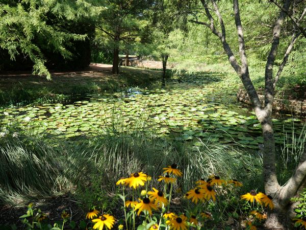 Clark Gardens Botanical Park (7/16/2019)
