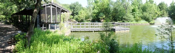 Clark Gardens Botanical Park (7/16/2019)