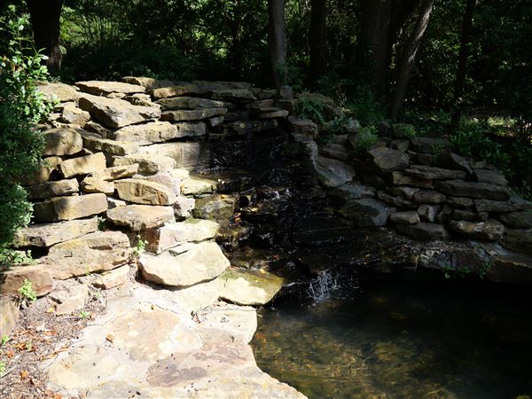 Clark Gardens Botanical Park (7/16/2019)