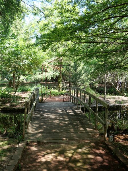 Clark Gardens Botanical Park (7/16/2019)