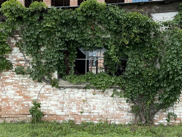 McKinney Cotton Mill (6/18/2020 - Credits: Aimee Woolverton)