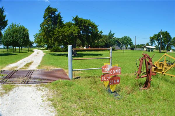 Cedar Isle Ranch (6/8/2020 - Credits: Mexia EDC)