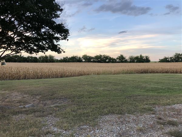Gil Farmhouse & Cornfield (7/28/2020 - Credits: Dana Gil)