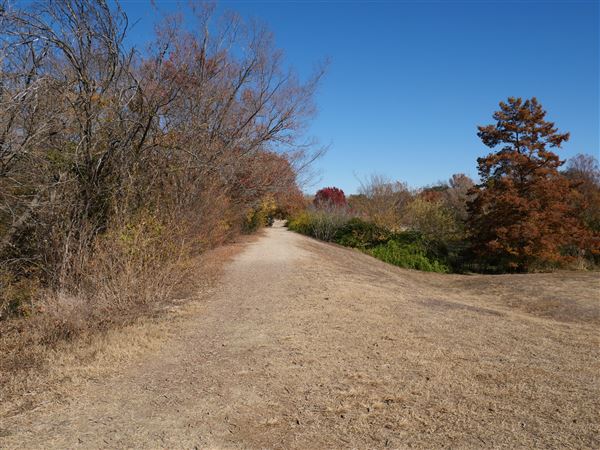 Beverly S. Sheffield Northwest District Park (12/9/2020)