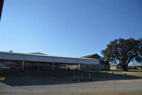 Clifton Fairgrounds (12/12/2020 - Credits: Angela Smith)