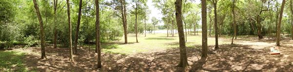 Lake Bastrop - North Shore Park (8/3/2021)
