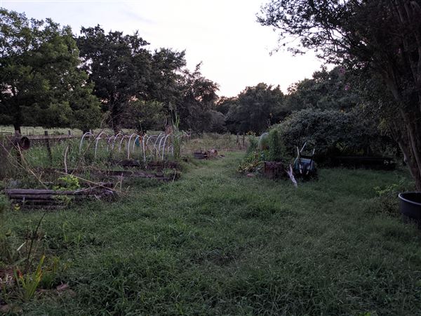 Rural Farm - Two House Property (8/12/2021 - Credits: Daniel Williams)