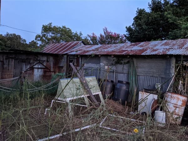 Rural Farm - Two House Property (8/12/2021 - Credits: Daniel Williams)