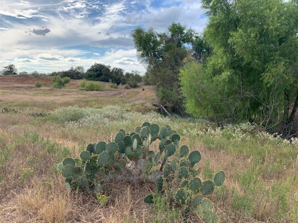 Rose Ranch (9/27/2021 - Credits: Roy Rose on my I-Phone)