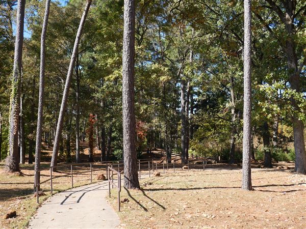 Synergy Park (11/12/2021)