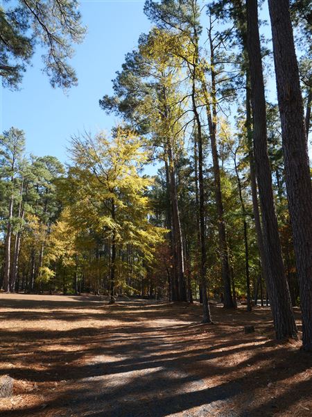 Synergy Park (11/12/2021)