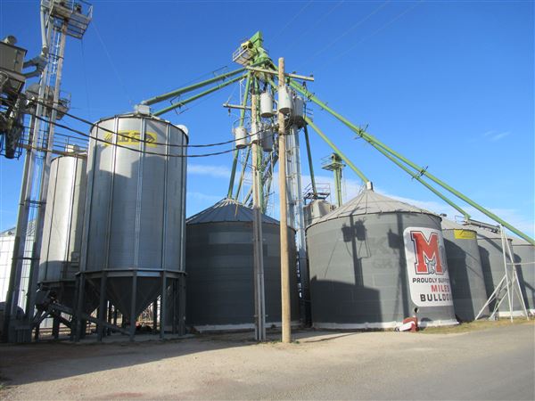 Top Tier Grain & Feed (1/21/2022 - Credits: Jane Jeschke)