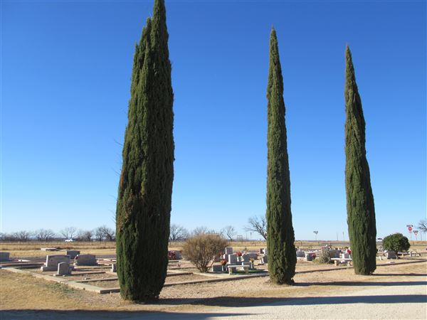 Miles Cemetery (1/19/2022 - Credits: Jane Jeschke)