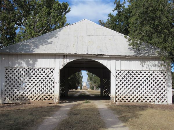 Miles Cemetery (1/19/2022 - Credits: Jane Jeschke)