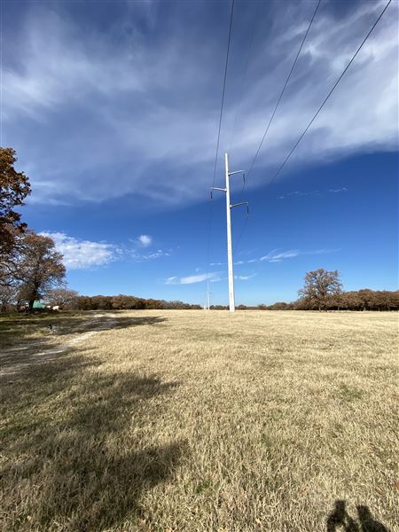 Fairlea Longhorn Ranch (12/7/2022)