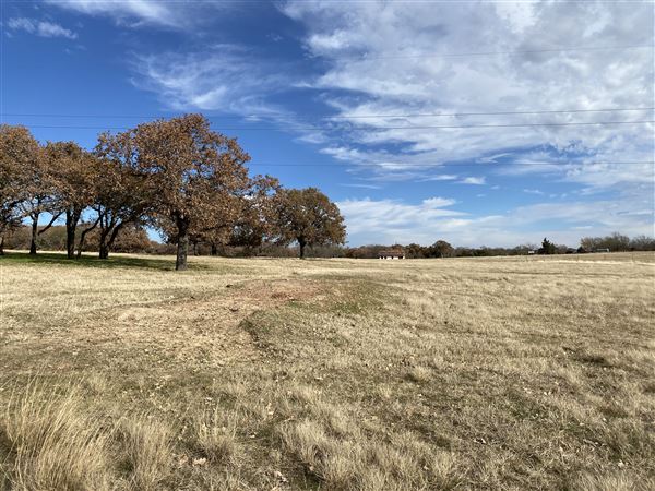 Fairlea Longhorn Ranch (12/7/2022)