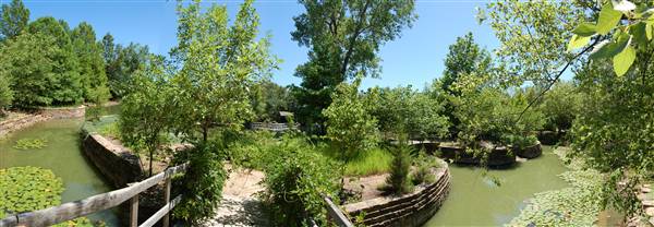 Clark Gardens Botanical Park (5/30/2009)