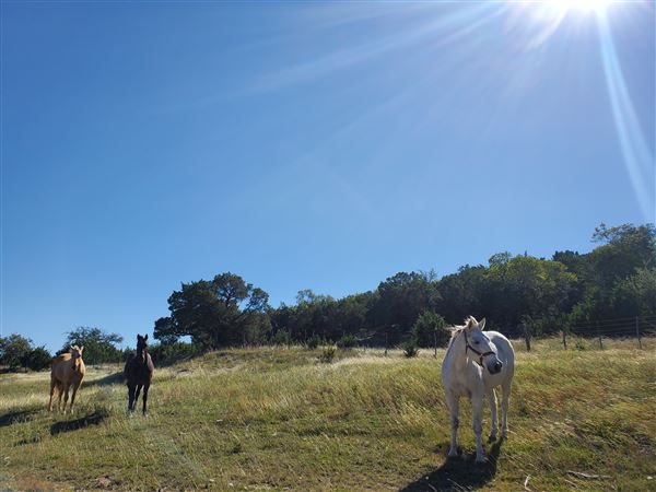 Kestrel Ranch (4/26/2021 - Credits: Kate Marr)