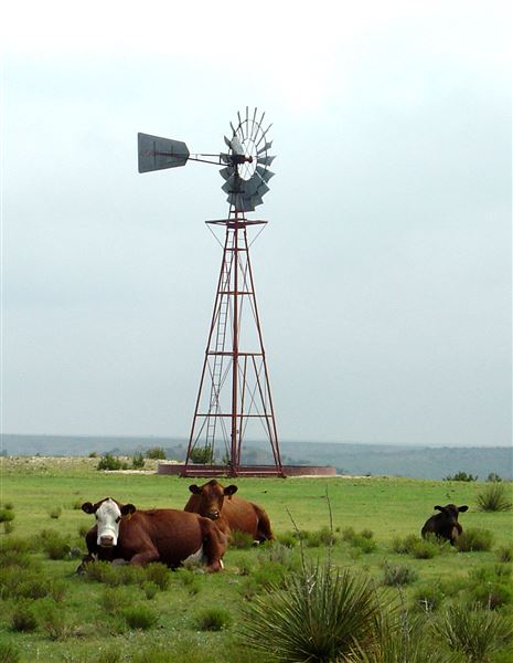 Borger Outskirts (4/30/2022 - Credits: Deidra Thomas; Charles Gillingham)