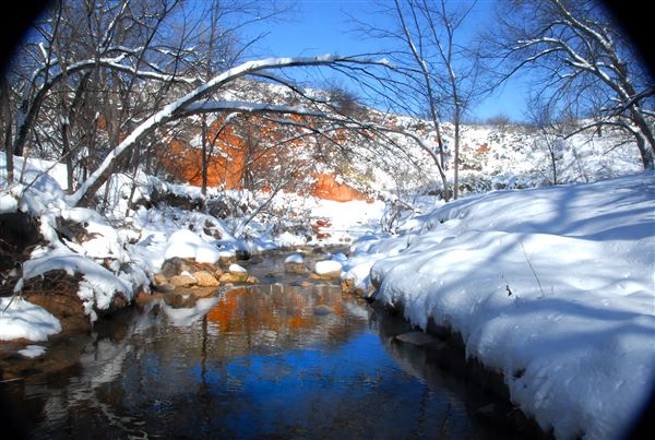 Borger Nature Trail (4/30/2017 - Credits: Charles Gillingham)