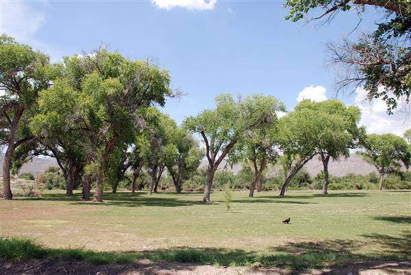 Big Bend National Park - Rio Grande Village (6/12/2010)