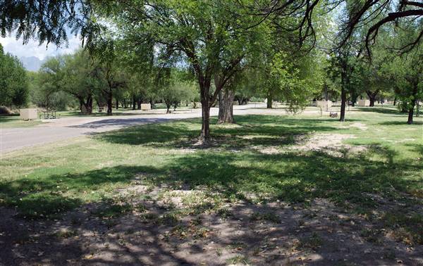 Big Bend National Park - Rio Grande Village (6/12/2010)