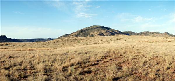 CF Ranch (6/10/2010)