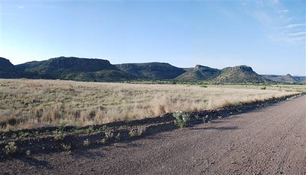 CF Ranch (6/10/2010)