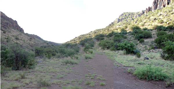CF Ranch (6/10/2010)