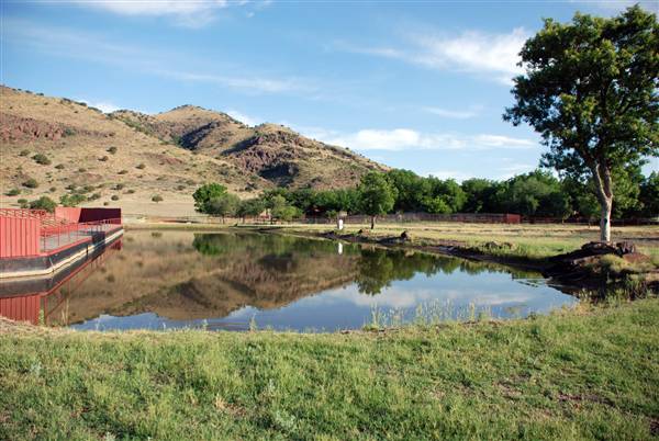 CF Ranch (6/10/2010)
