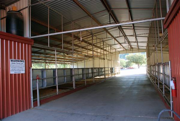 CF Ranch (6/10/2010)