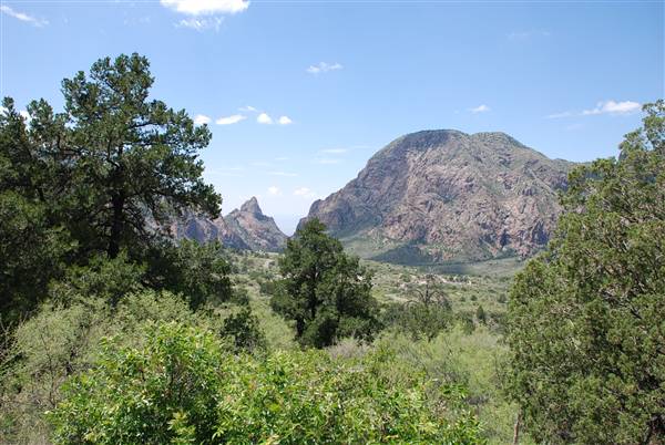 Big Bend National Park - Chisos Mountain Basin (8/25/2010)