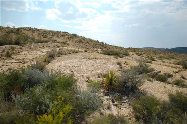 Big Bend Ranch State Park - Barton Warnock Environmental Education Center (9/17/2010)