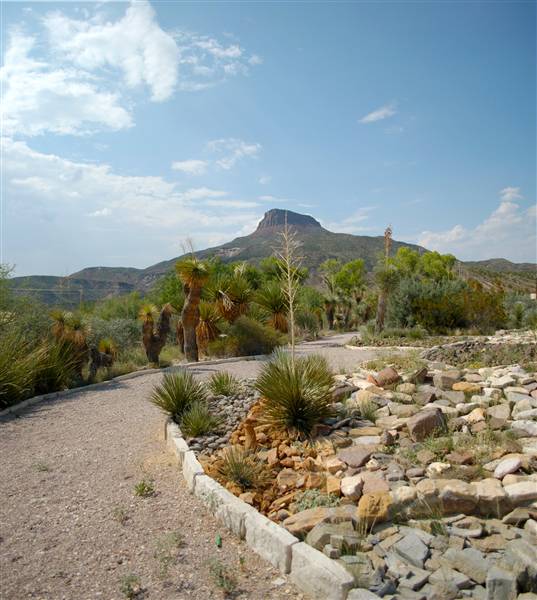 Big Bend Ranch State Park - Barton Warnock Environmental Education Center (9/17/2010)